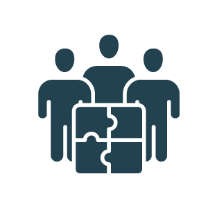 icon random 3.1